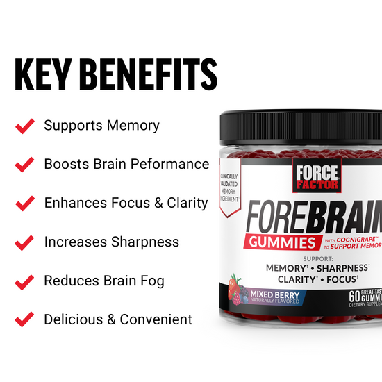 Key Benefits of Forebrain Gummies