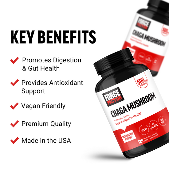 Force Factor Chaga Mushroom 500mg bottle with key benefits promoting digestion, gut health, antioxidant support, vegan friendly, and made in the USA