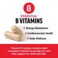 Benefits of B Complex and B Complex Supplements by Force Factor
