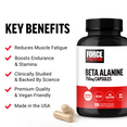 Beta Alanine