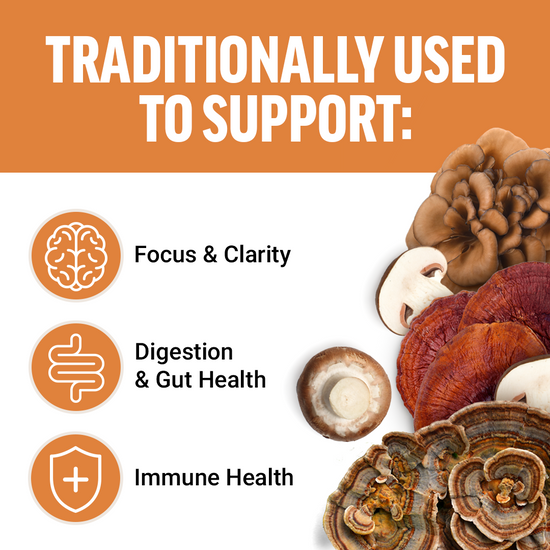 Traditional uses of mushrooms supporting focus, digestion, and immune health, with illustrations of mushroom varieties.