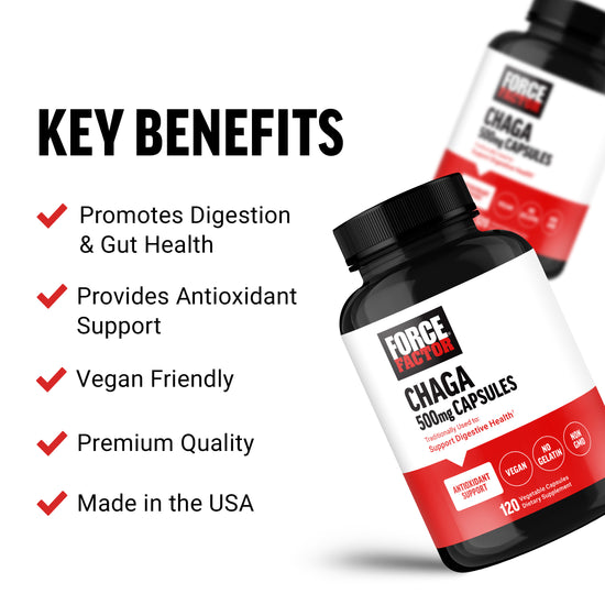Chaga supplement bottles highlighting key benefits: promotes digestion, antioxidant support, vegan, premium quality, USA made.
