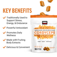 Benefits of Cordyceps and Cordyceps Supplements by Force Factor