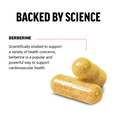Ingredient Overview and Benefits of Force Factor Berberine Supplement