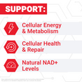 Infographic showing NMN supplement supports cellular energy and metabolism, cellular health and repair, and natural NAD+ levels