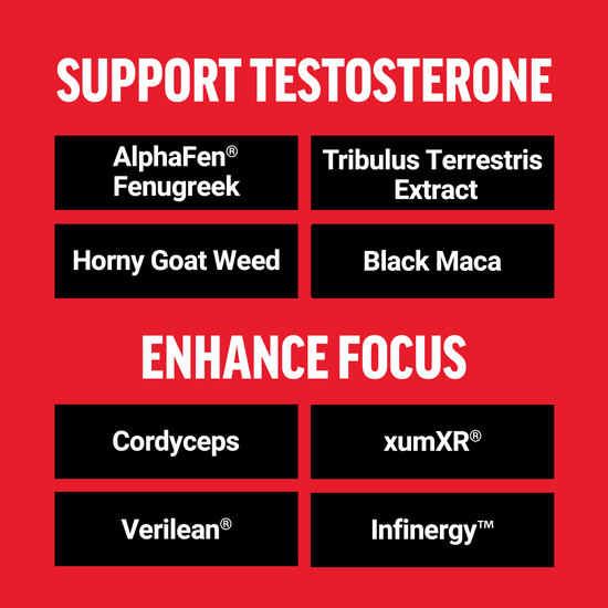 Supplements for testosterone support and focus enhancement, including AlphaFen®, Tribulus Terrestris, and Verilean®.