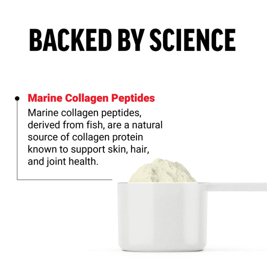 Ingredient Overview and Benefits of Force Factor Marine Collagen Supplement