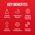 Key benefits of creatine: proven dose, builds muscle, supports cognitive function, boosts recovery, improves performance, strength.