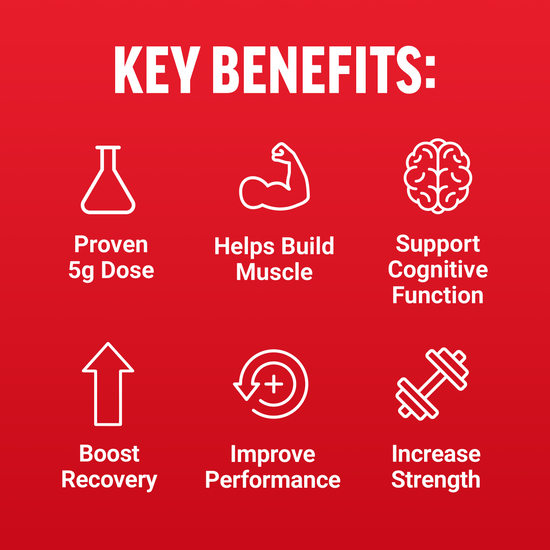 Key benefits of creatine: proven dose, builds muscle, supports cognitive function, boosts recovery, improves performance, strength.