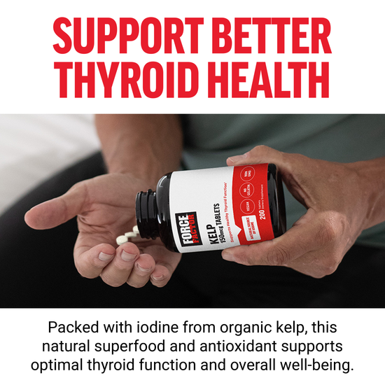 Hands holding a supplement bottle labeled "Support Better Thyroid Health" with a focus on natural ingredients like kelp.