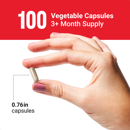 Key Ingredients of GABA Supplements by Force Factor