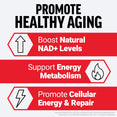 Promote healthy aging graphic listing boosted NAD+ levels, energy metabolism, and cellular energy and repair.