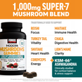 Force Factor Modern Mushrooms Gummies bottle with Super-7 mushroom blend and KSM-66 Ashwagandha ingredient callouts