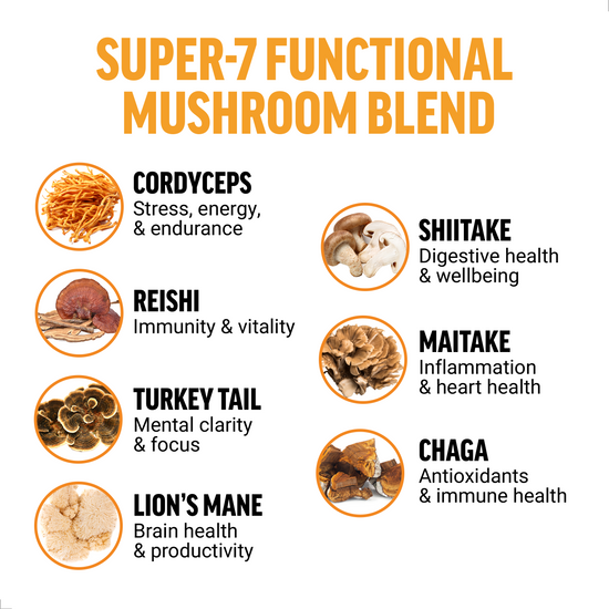Key Ingredients of Modern Mushrooms Supplements by Force Factor