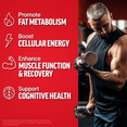 Man curling dumbbells in gym with icons promoting fat metabolism, cellular energy, muscle function, and cognitive health