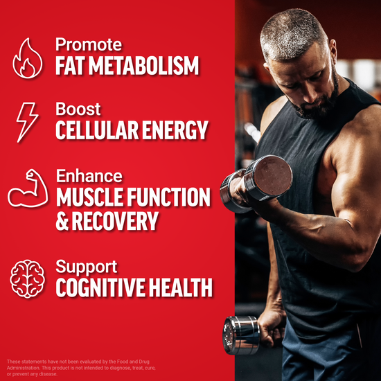 Man curling dumbbells in gym with icons promoting fat metabolism, cellular energy, muscle function, and cognitive health