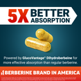 Two capsules promoting 5x better absorption powered by GlucoVantage Dihydroberberine