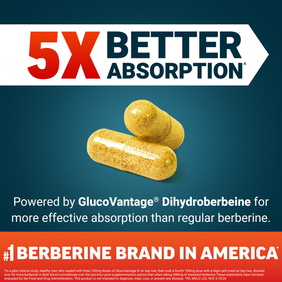 Two capsules promoting 5x better absorption powered by GlucoVantage Dihydroberberine