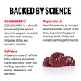 Science behind Forebrain Gummies