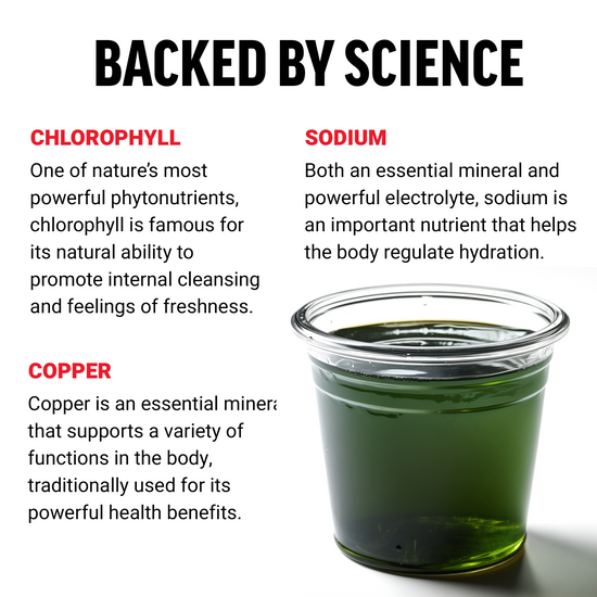 Ingredient Overview and Benefits of Force Factor Liquid Chlorophyll Supplement