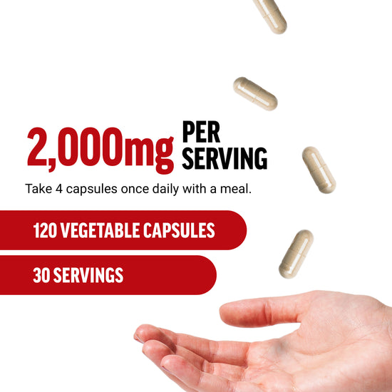 How to Use Force Factor Maca Max Supplement