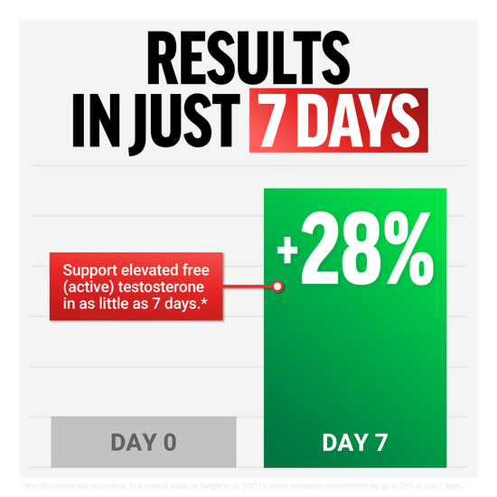 Chart showing 28% testosterone increase after 7 days.