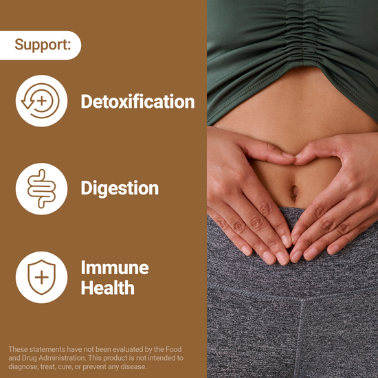 Support graphic listing Detoxification, Digestion, and Immune Health next to a close-up of hands over a stomach.