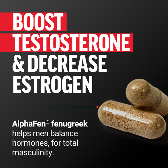 Boost testosterone and decrease estrogen with AlphaFen fenugreek for hormone balance and enhanced masculinity.