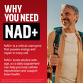 Man with hiking gear beside text explaining NAD+’s role in energy, repair, and brain health support with age.