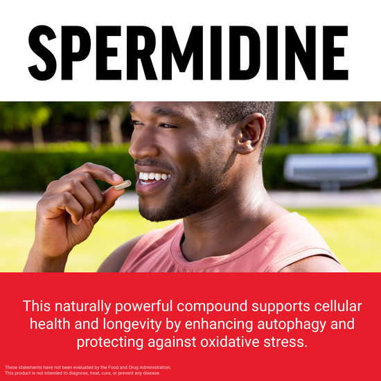 Smiling man holding a capsule with text highlighting spermidine’s role in supporting cellular health and longevity