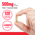 Hand holding boswellia capsule with text showing 500mg per serving, 120 vegetable capsules, and 4-month supply