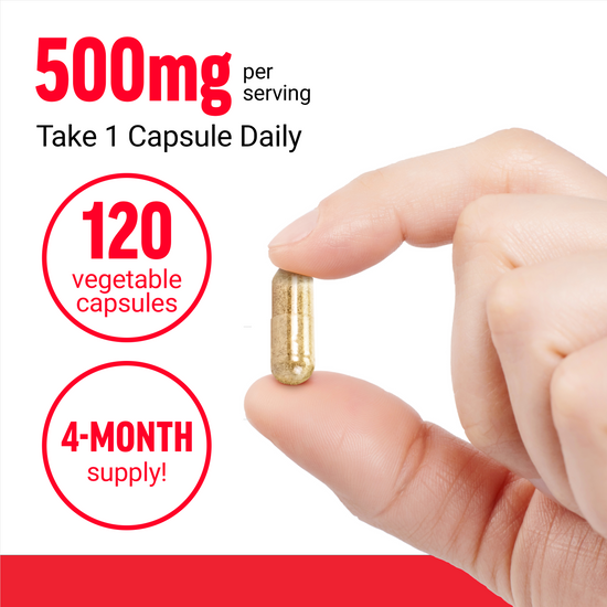 Hand holding boswellia capsule with text showing 500mg per serving, 120 vegetable capsules, and 4-month supply