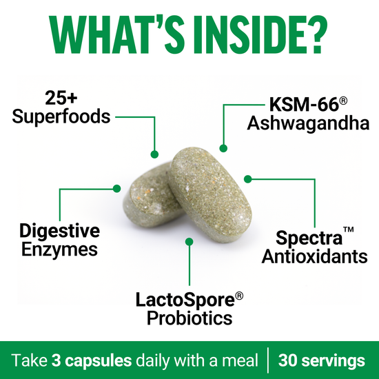 Key Ingredients of Smarter Greens Supplements by Force Factor - Unleash Your Potential
