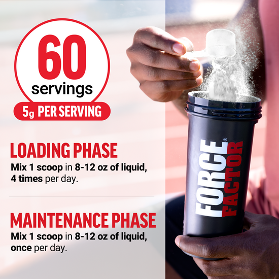 Force Factor shaker pouring creatine powder with directions for loading and maintenance phases, 5g per serving.