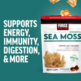 Why You Should Take Sea Moss Soft Chews, Benefits of Force Factor Sea Moss Soft Chews Supplement