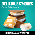 S’mores flavor Force Factor chews with graham cracker, chocolate, and marshmallow stack on teal background.