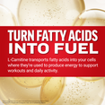 L-Carnitine transports fatty acids into cells to produce energy for workouts and daily activity