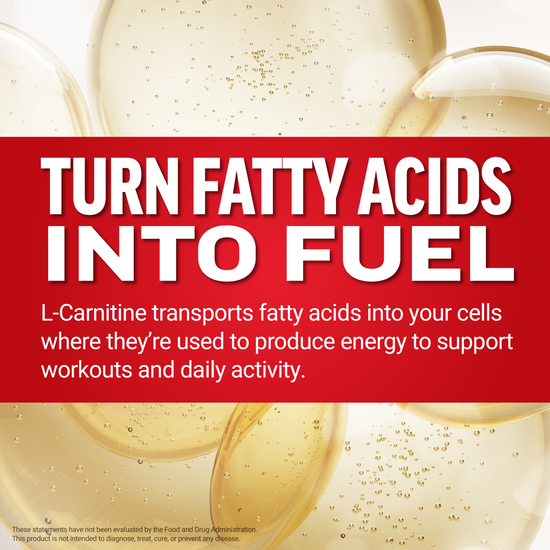 L-Carnitine transports fatty acids into cells to produce energy for workouts and daily activity