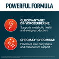 Powerful formula infographic highlighting GlucoVantage Dihydroberberine and Chromax Chromium ingredient benefits