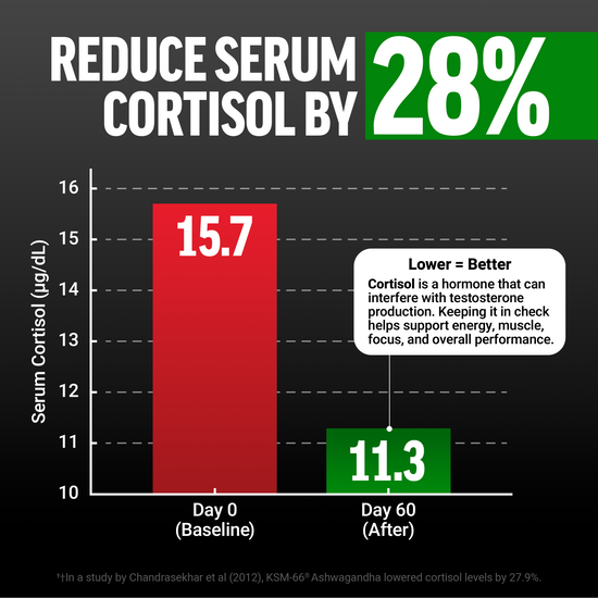 Graph showing a 28% reduction in serum cortisol over 60 days, supporting testosterone production and performance.