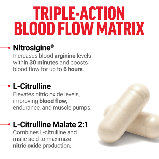Triple-action formula boosts nitric oxide with Nitrosigine, L-Citrulline, and L-Citrulline Malate.