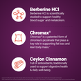 Infographic explaining Berberine HCl, Chromax chromium, and Ceylon Cinnamon ingredient benefits for metabolism and fat loss