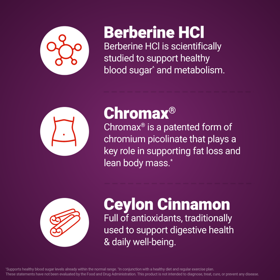 Infographic explaining Berberine HCl, Chromax chromium, and Ceylon Cinnamon ingredient benefits for metabolism and fat loss