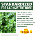 Fresh oregano plant beside softgels explaining standardized oregano and black seed oil for consistent carvacrol and thymoquinone levels