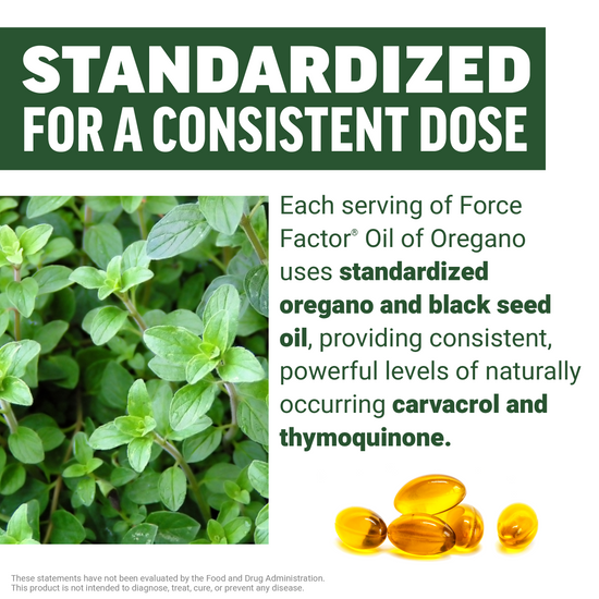 Fresh oregano plant beside softgels explaining standardized oregano and black seed oil for consistent carvacrol and thymoquinone levels