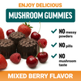 Dark mushroom gummies with mixed berries showing no powders, no pills, and no mushroom taste in mixed berry flavor