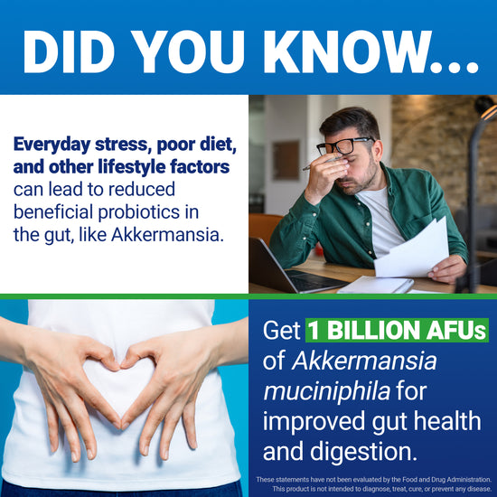 Stressed man and woman holding stomach with text explaining stress and poor diet reduce beneficial Akkermansia gut probiotics