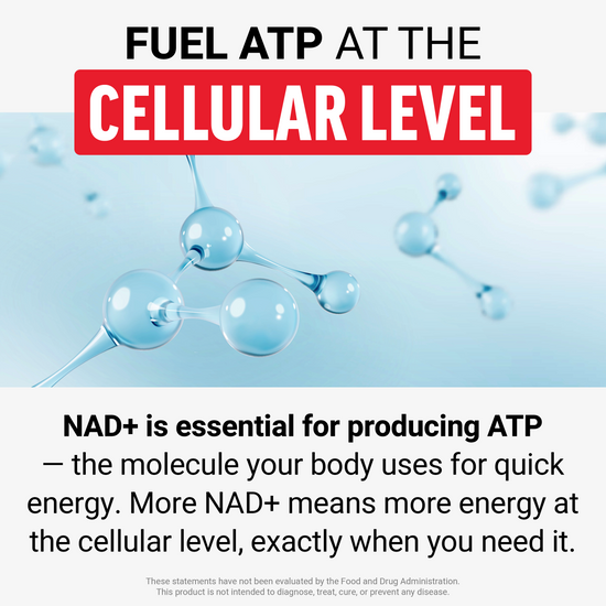 Fuel ATP at the Cellular Level headline with blue molecule illustration and text about NAD+ producing quick energy.