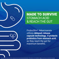 Illustrated digestive system showing ProbioSlim Akkermansia uses delayed-release capsule technology to survive stomach acid