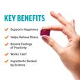 Benefits of Happy Mood Stress Relief Supplement by Force Factor